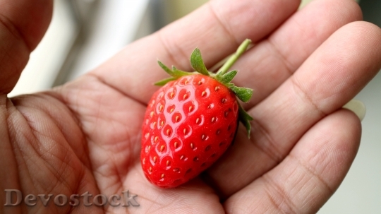Devostock Strawberry Hand Avignon 1079056