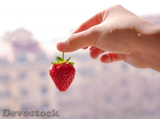 Devostock Strawberry Hand Fruit 1365716