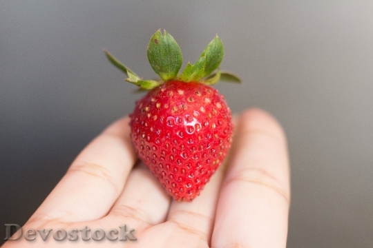 Devostock Strawberry Hand Fruit Hand