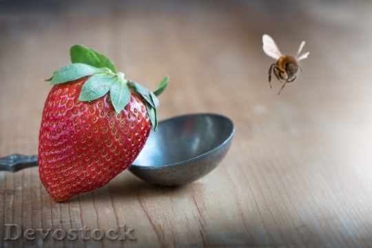 Devostock Strawberry Red Ripe Healthy