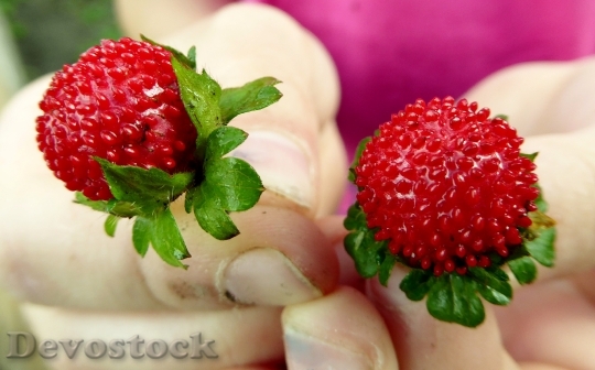 Devostock Strawberry Wood Strawberry Fruit