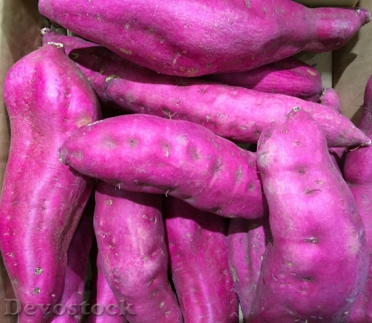 Devostock Sweet Potato Purple Seiyu