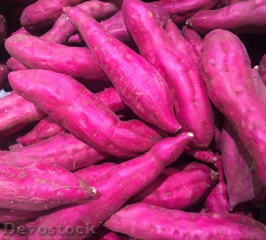 Devostock Sweet Potato Red Purple 0