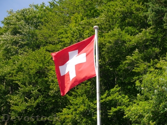 Devostock Switzerland Flag Swiss Flag 0