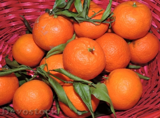 Devostock Tangerine Orange Fruit Basket