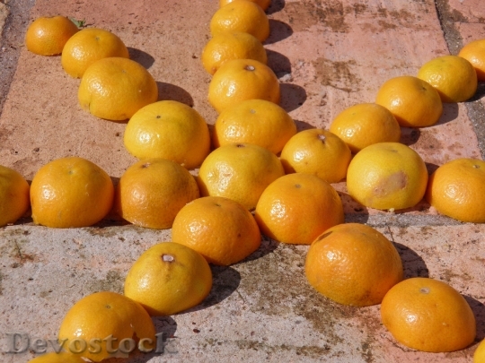 Devostock Tangerine Star Fruit Orange