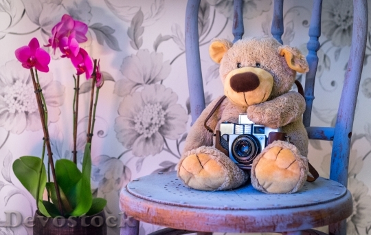 Devostock Teddy Bear Camera Orchids