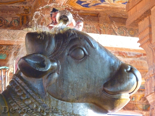 Devostock Temple Bull Temple Nandi
