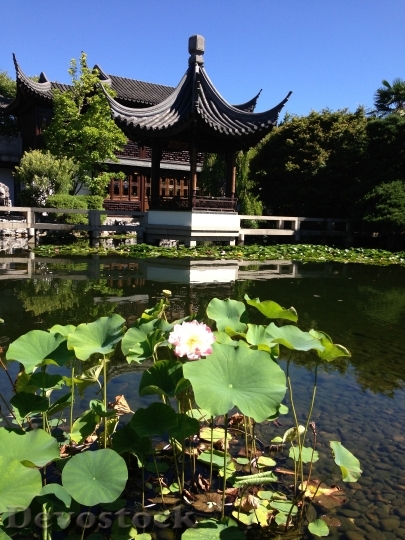 Devostock Temple Lotus Zen Basin