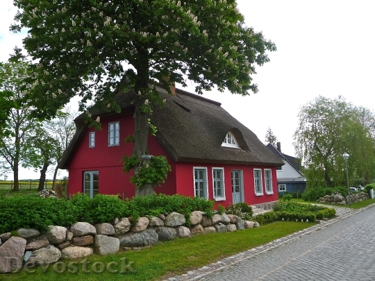 Devostock Thatched Roof House Building