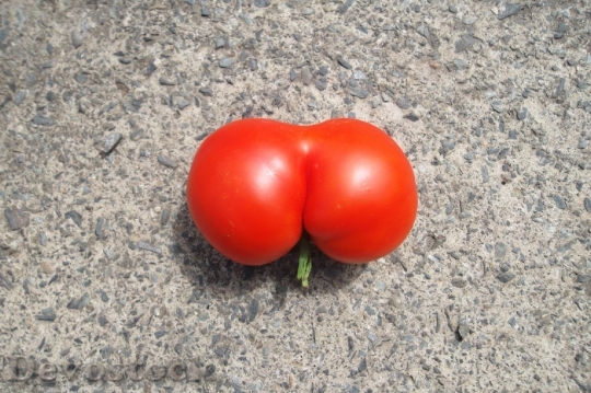 Devostock Tomato Butt Funny Red