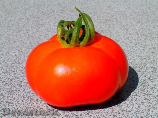 Devostock Tomato Fruit Garden Cash