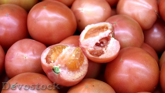 Devostock Tomato Section Vegetable 1206703