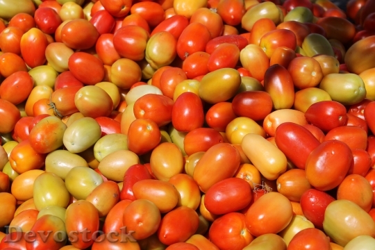 Devostock Tomato Vegetables Fruit 299277
