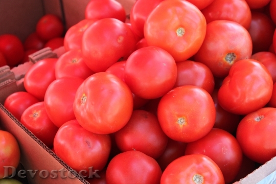 Devostock Tomato Vegetables Fruit Healthy