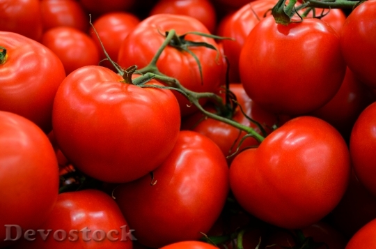 Devostock Tomatoes 7