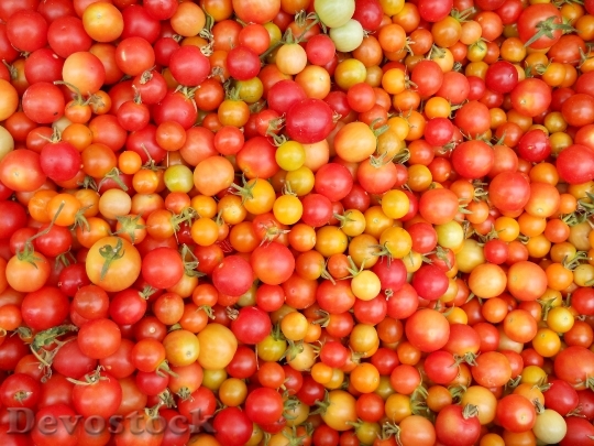 Devostock Tomatoes Food Fruit Vegetable