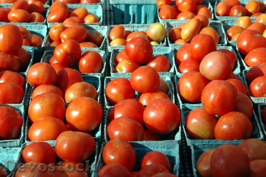 Devostock Tomatoes For Sale Fruit