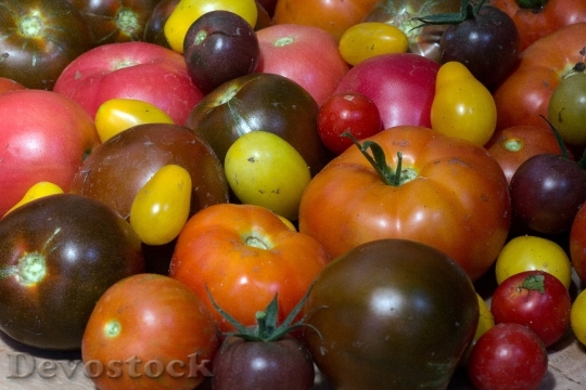 Devostock Tomatoes Fruit Garden Harvest