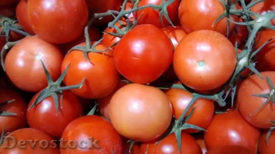 Devostock Tomatoes Fruit Red 776690