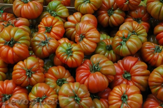 Devostock Tomatoes Organic Fruit 744019