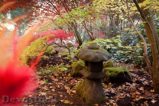 Devostock Toro Lantern Stone Tradition