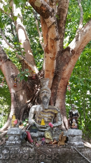 Devostock Tree Recluse Priest Statue