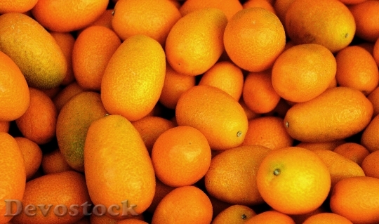 Devostock Tropical Fruit Fruit Orange