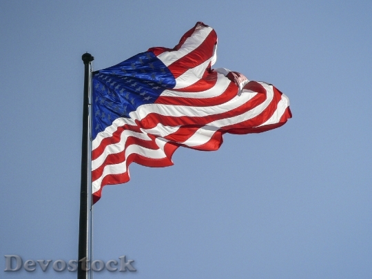Devostock United States Flag Nation