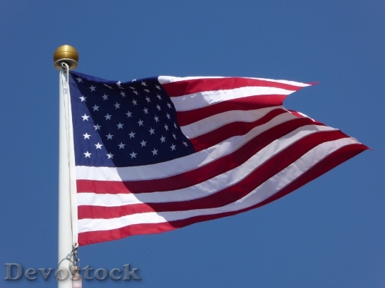 Devostock Usa Flag Stars Stripes 0