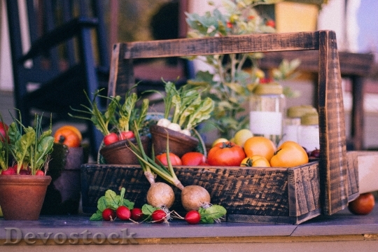 Devostock Vegetable Basket Fruit Basket