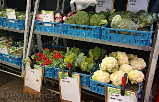 Devostock Vegetable Fresh Food Nutrition