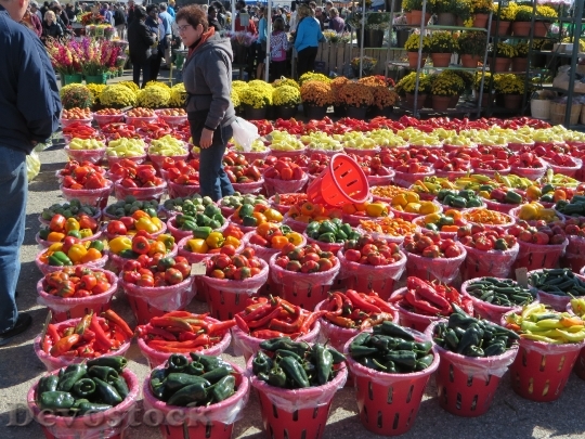 Devostock Vegetable Fruit Market Fresh