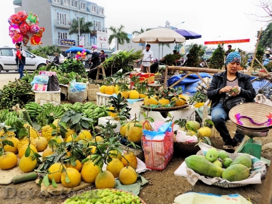 Devostock Viet Nam Market Peasant