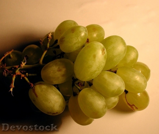 Devostock Vine Grape