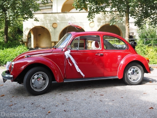 Devostock Vw Beetle Bridal Car 3