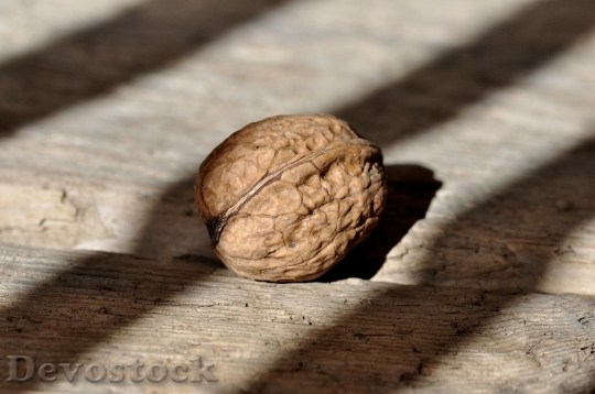 Devostock Walnut Nut Healthy Fruit