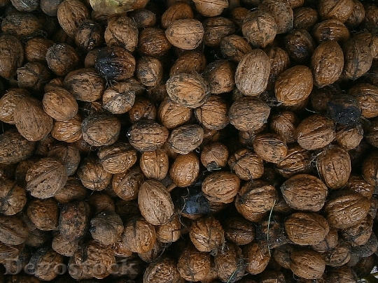 Devostock Walnut Nuts Nut Food