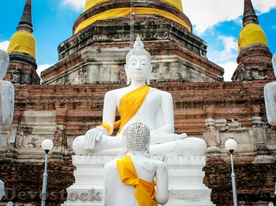 Devostock Wat Yai Chai Mongkhom