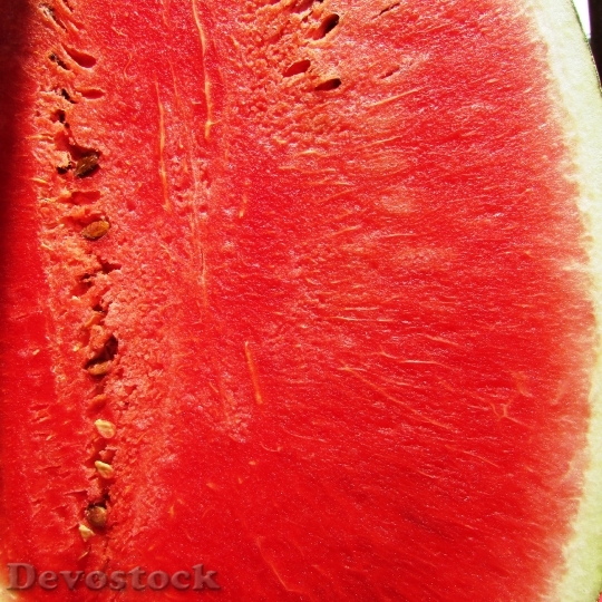 Devostock Watermelon Melon Citrullus Lanatus 5