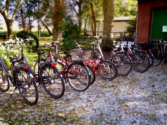 Devostock Wheel Wheels Bike Bicycles
