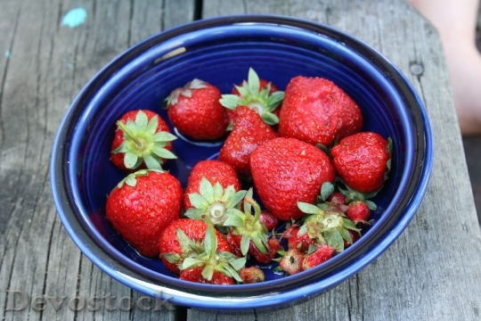 Devostock Wild Strawberries Blue Bowl