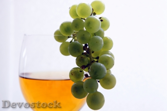 Devostock Wine Vintage Vines Healthy