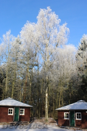 Devostock Winter Forest Log Houses