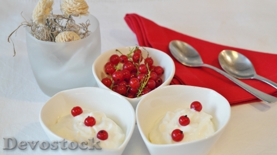 Devostock Yogurt Currants Dessert Cream