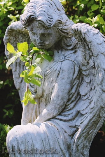 Devostock Angel Statue Nature Cemetery 0