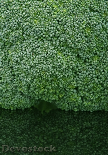 Devostock Appetite Broccoli Brocoli Broccolli 4