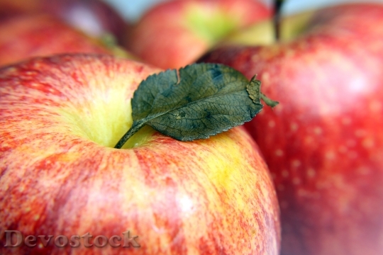 Devostock Apple Fruit Natural Health