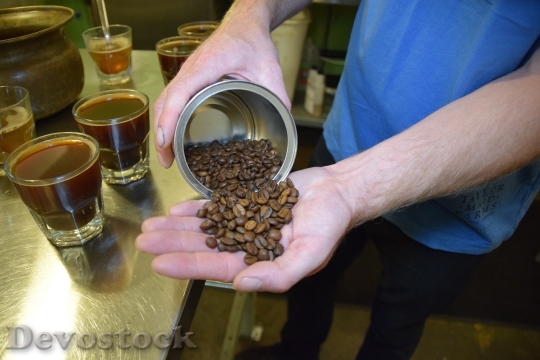 Devostock Beans Coffee Brew Cupping