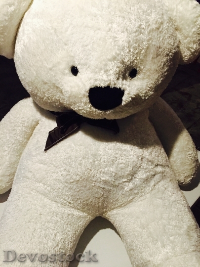 Devostock Bear Teddy Bear Stuffed Toy 1095